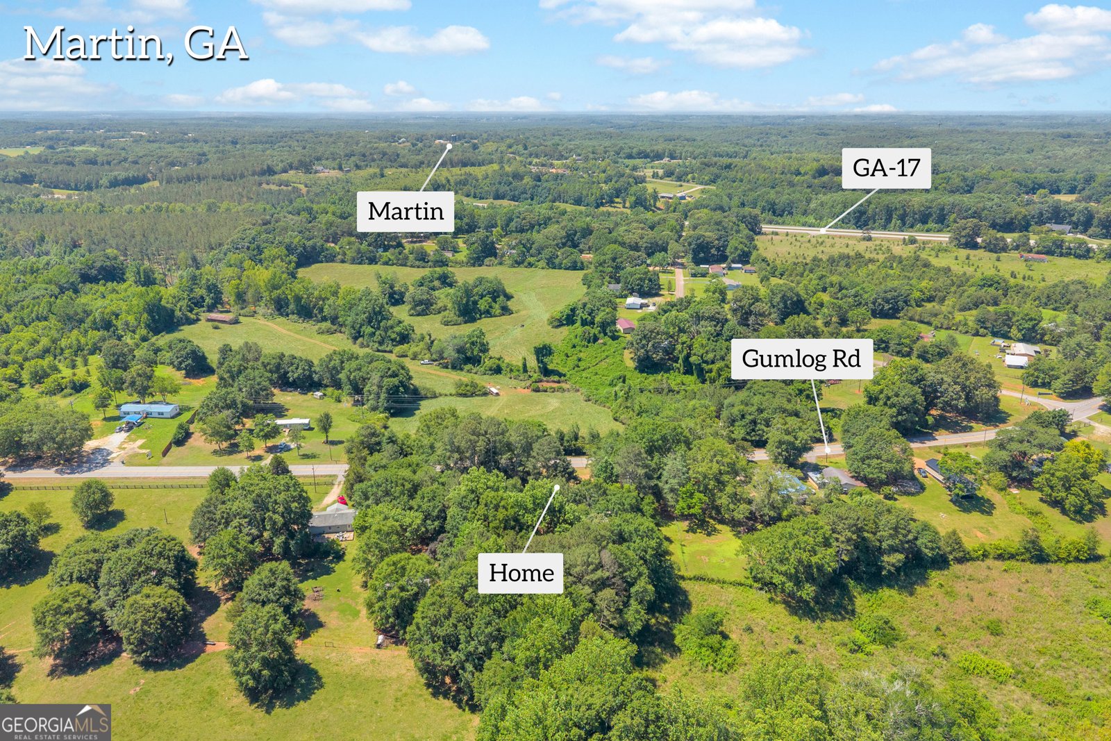 640 Gumlog Road Martin - Photo 34
