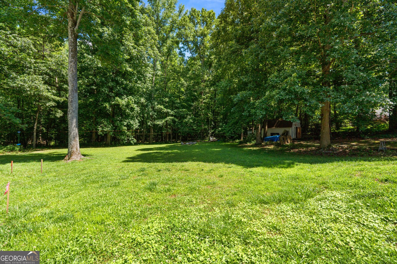 170 Pendleton Trail Tyrone - Photo 61