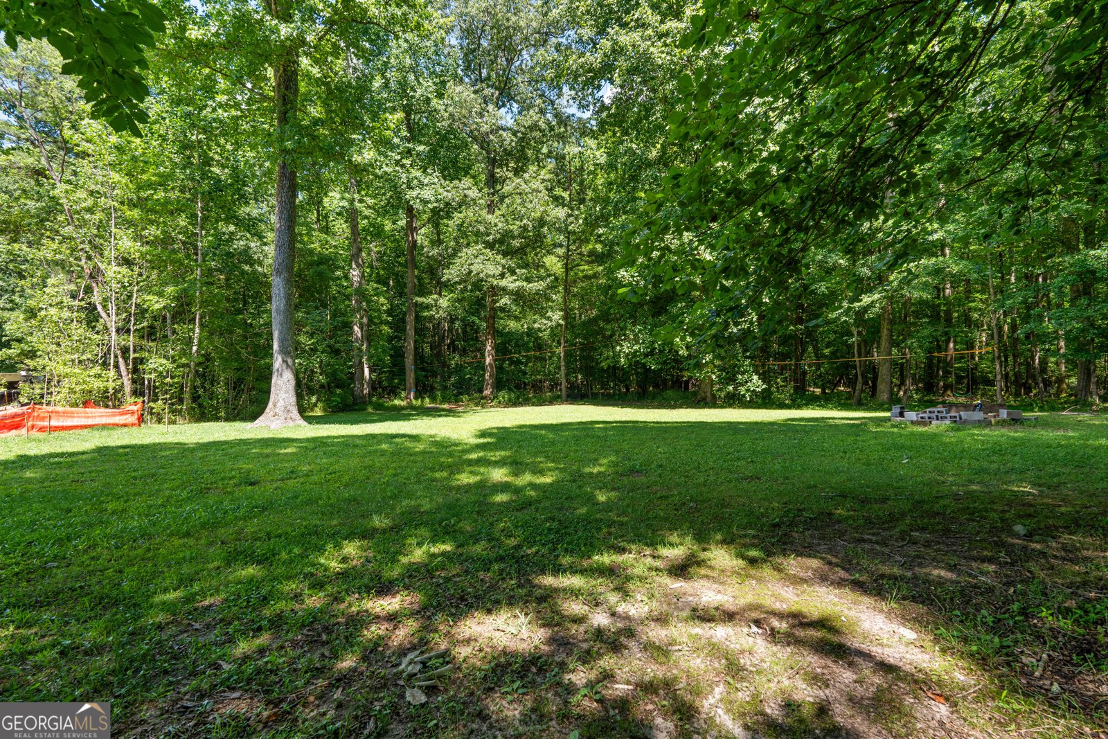 170 Pendleton Trail Tyrone - Photo 65