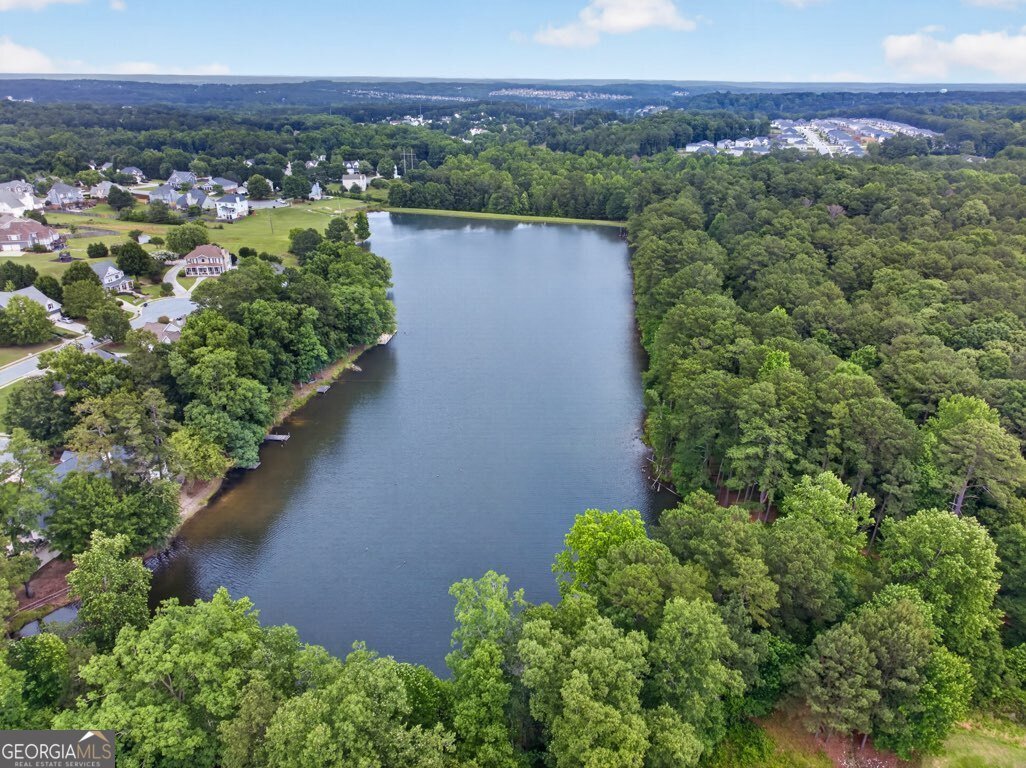 3827 Bay Orchard Lane Loganville - Photo 49