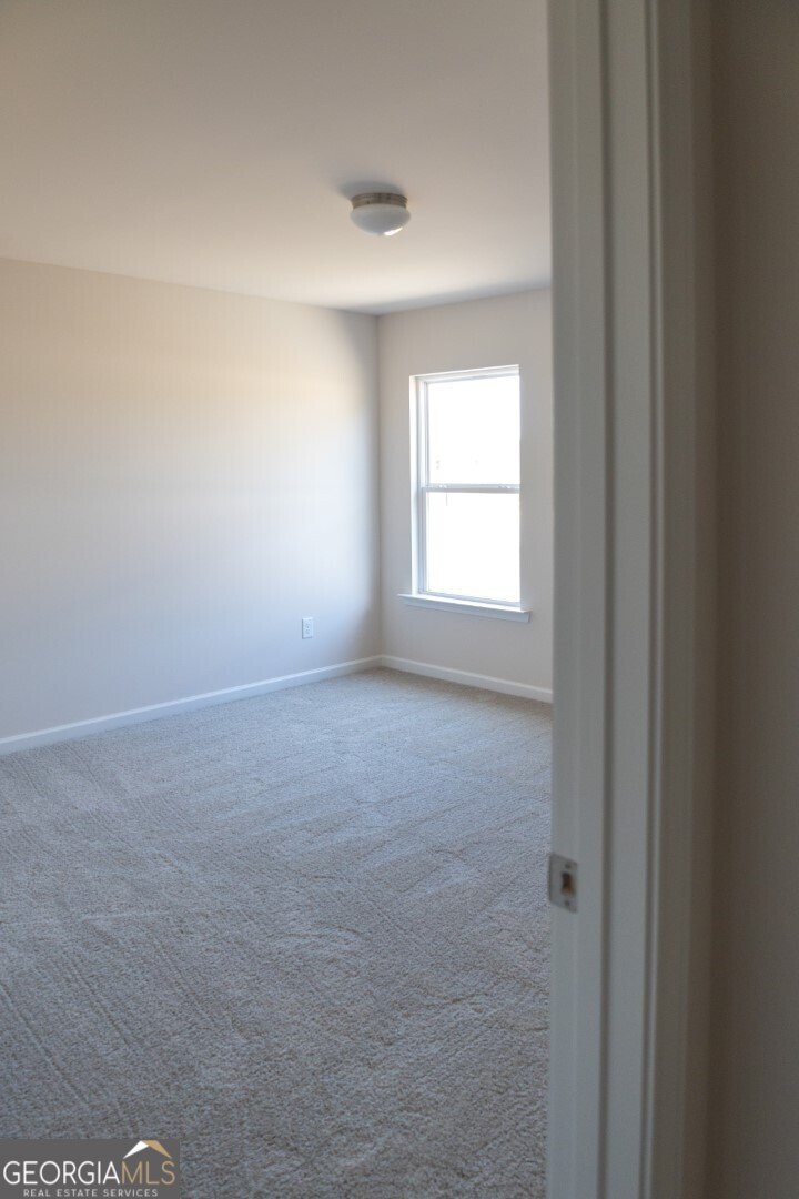 52 Umber Lane Newnan - Photo 34