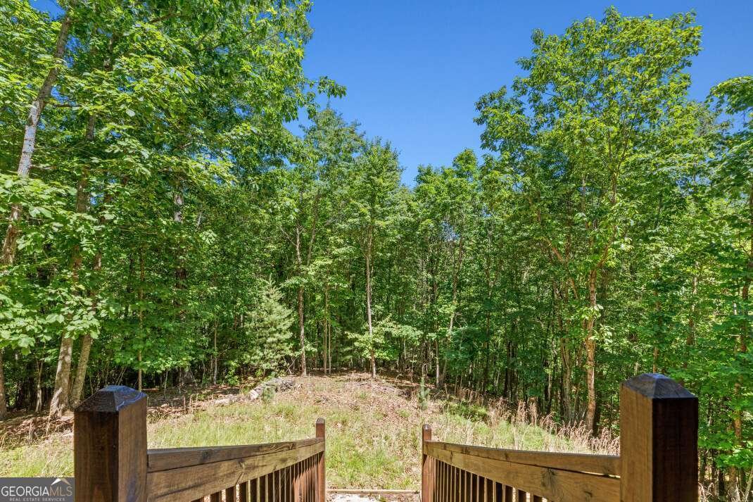 801 Davenport Mountain Road Blue Ridge - Photo 25