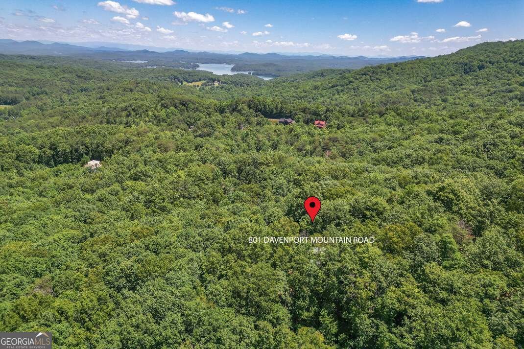 801 Davenport Mountain Road Blue Ridge - Photo 31