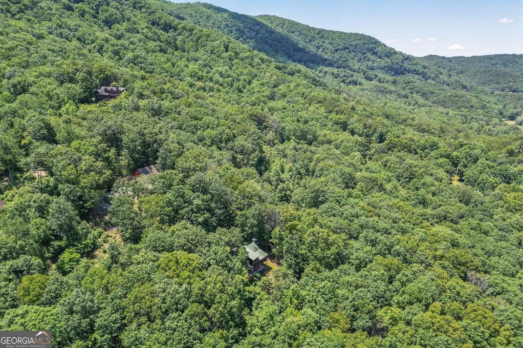 801 Davenport Mountain Road Blue Ridge - Photo 32