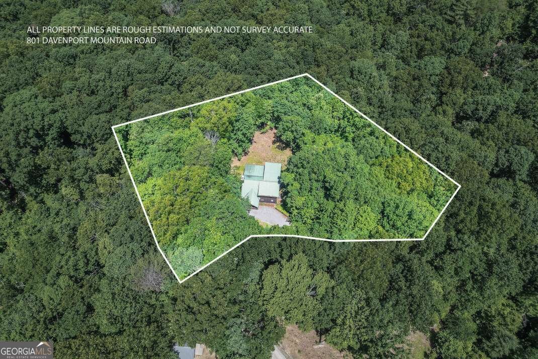 801 Davenport Mountain Road Blue Ridge - Photo 33