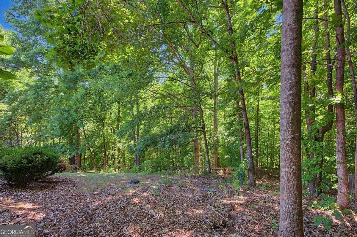 27 Roberson Drive Cartersville - Photo 61