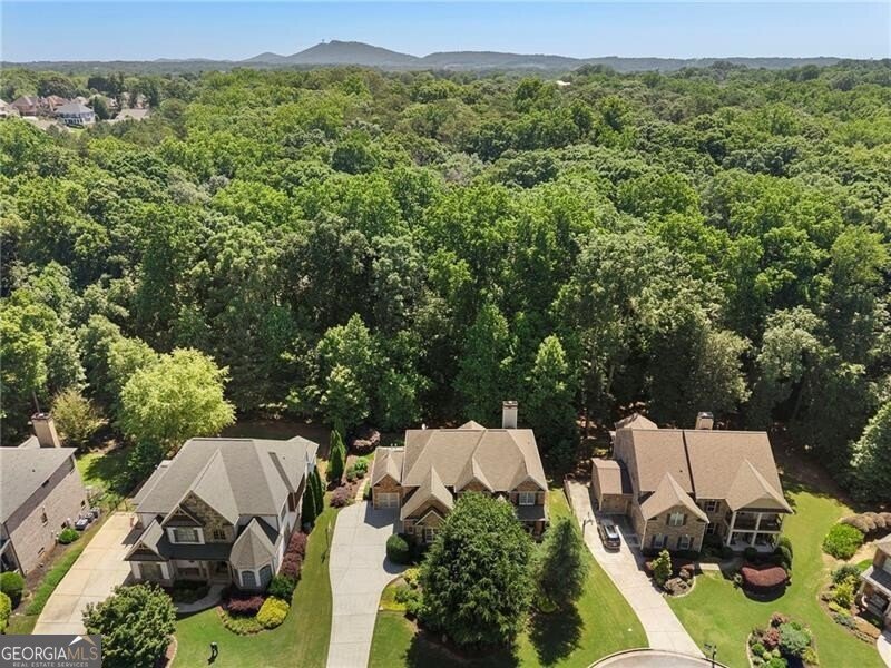 4330 Manor Creek Drive Cumming - Photo 47