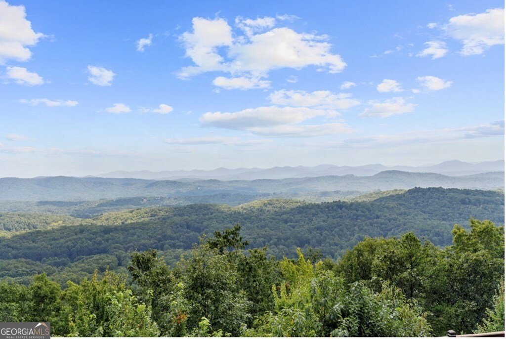 279 Rising Star Lane Mineral Bluff - Photo 6