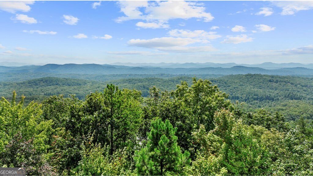 279 Rising Star Lane Mineral Bluff - Photo 7