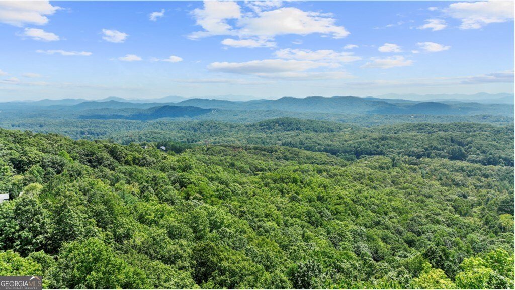 279 Rising Star Lane Mineral Bluff - Photo 9