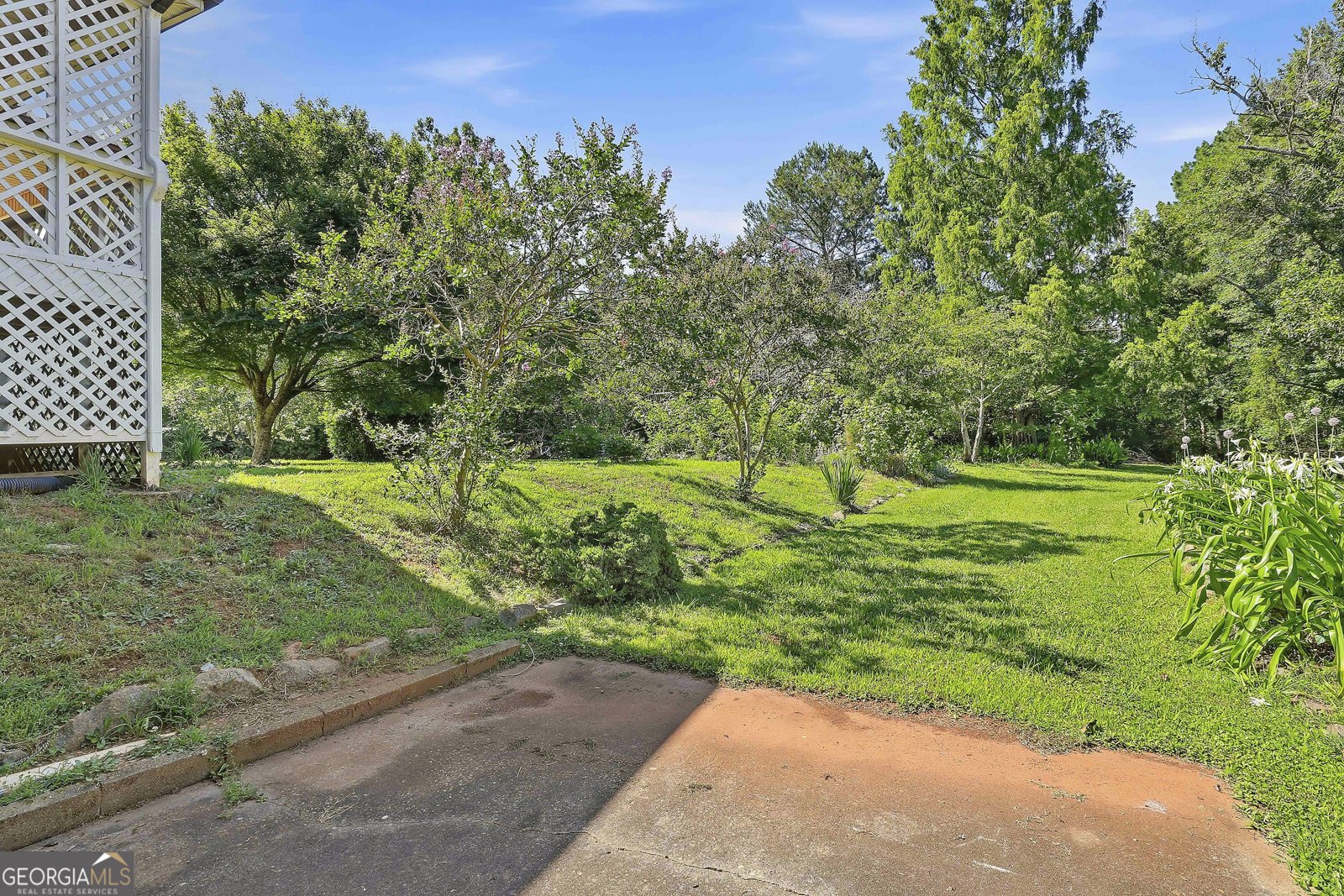 239 Ebenezer Church Rd Fayetteville - Photo 49