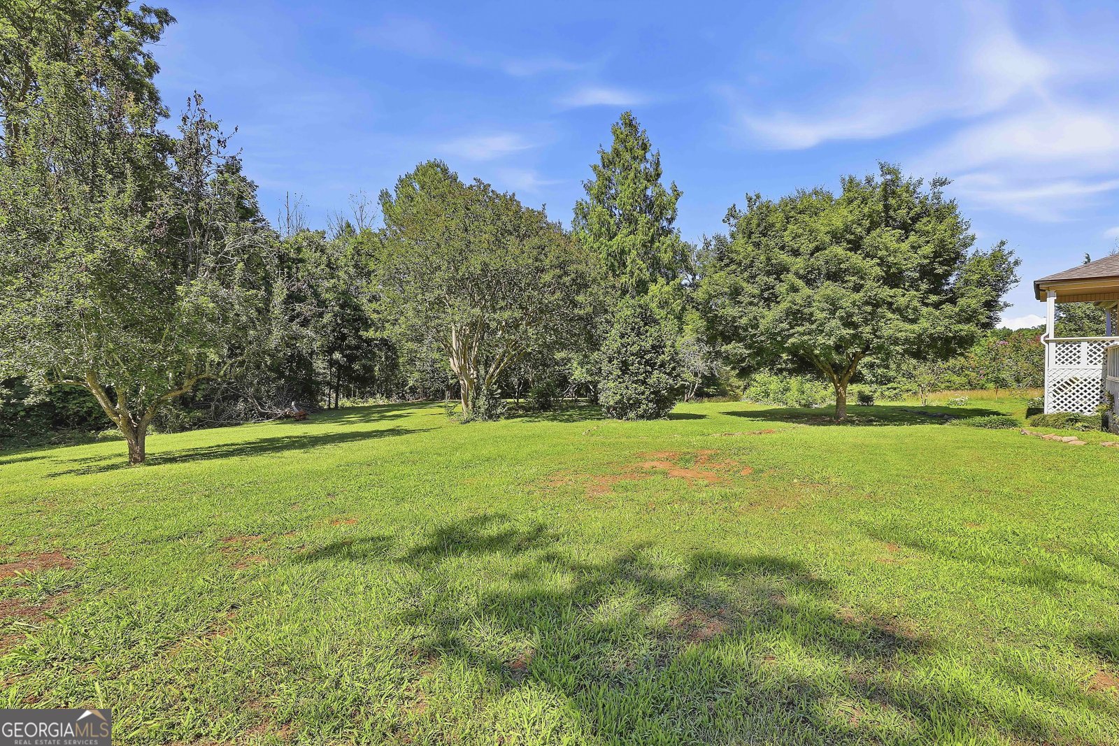 239 Ebenezer Church Rd Fayetteville - Photo 54
