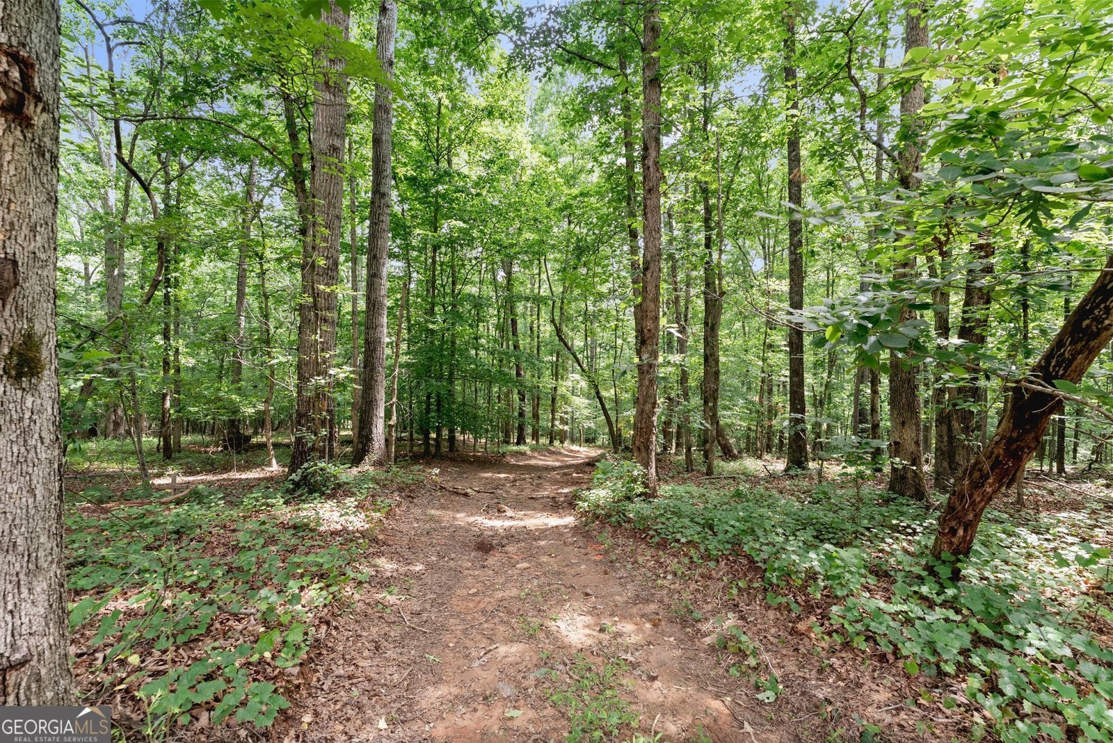 6776 H Abercrombie Road Murrayville - Photo 51