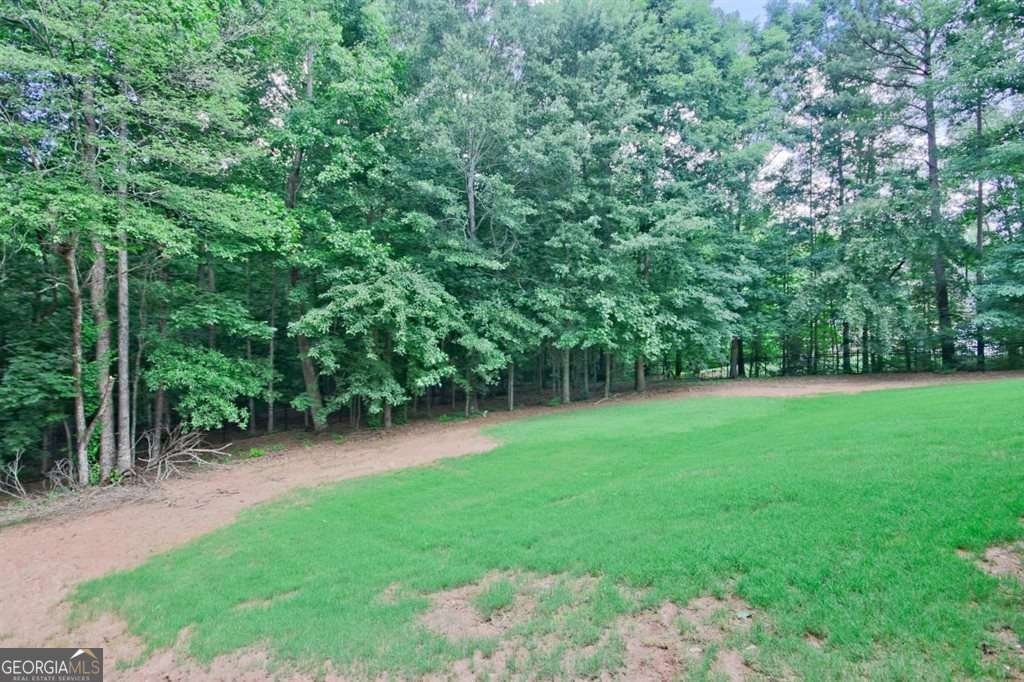 7251 Bluewater Lane Douglasville - Photo 59