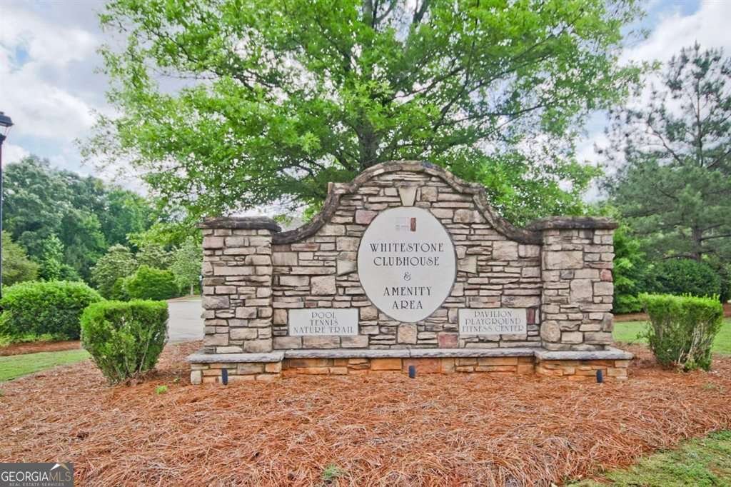 7251 Bluewater Lane Douglasville - Photo 68