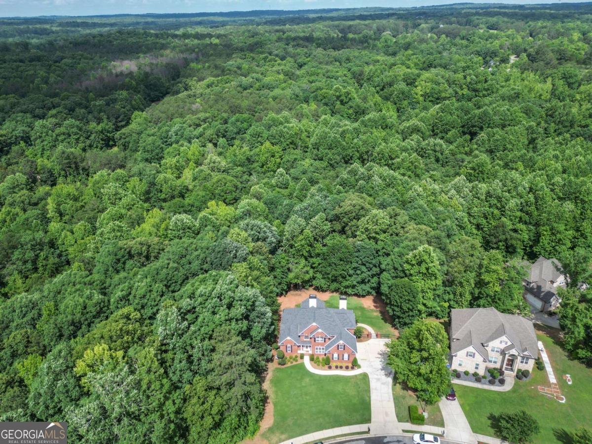 7251 Bluewater Lane Douglasville - Photo 80