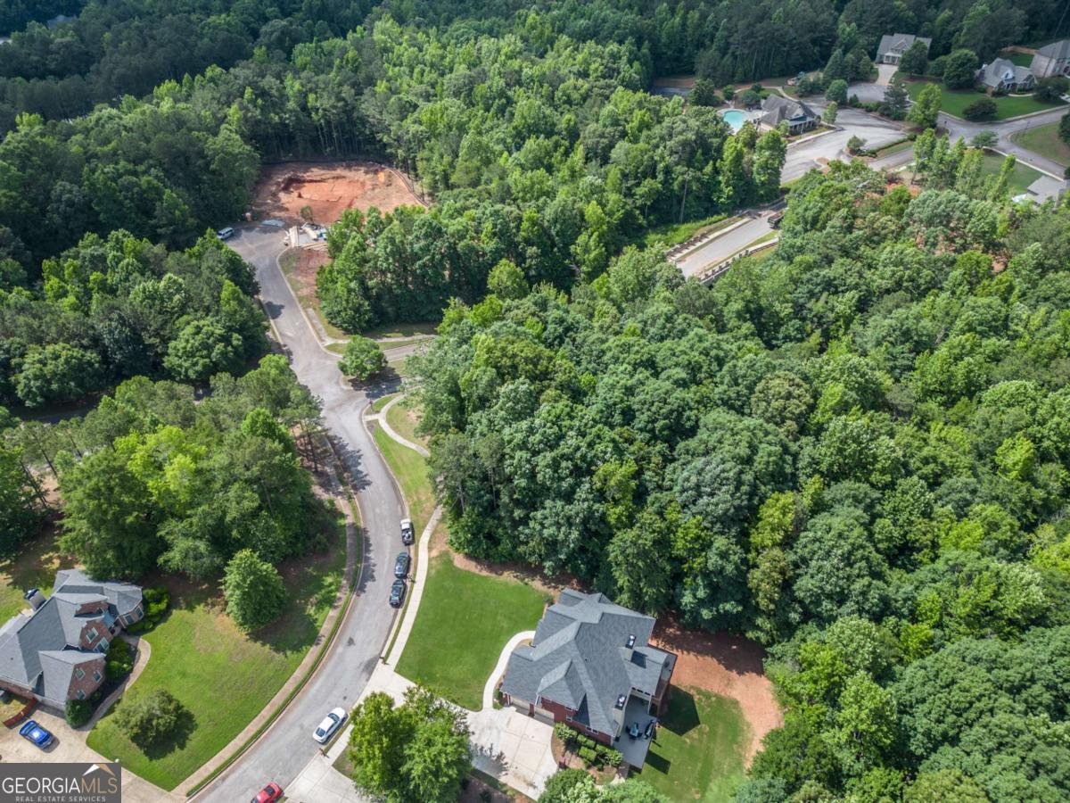 7251 Bluewater Lane Douglasville - Photo 86