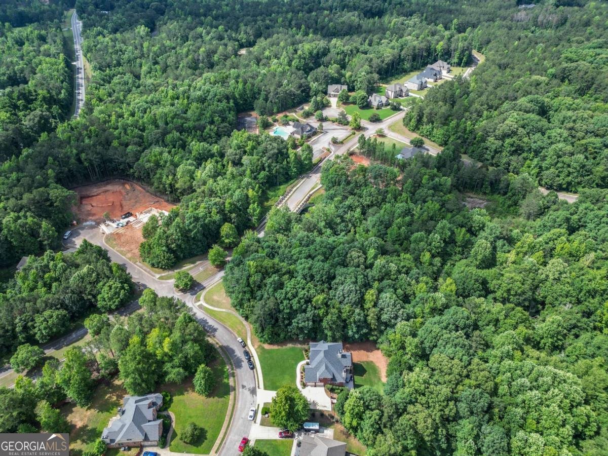 7251 Bluewater Lane Douglasville - Photo 87