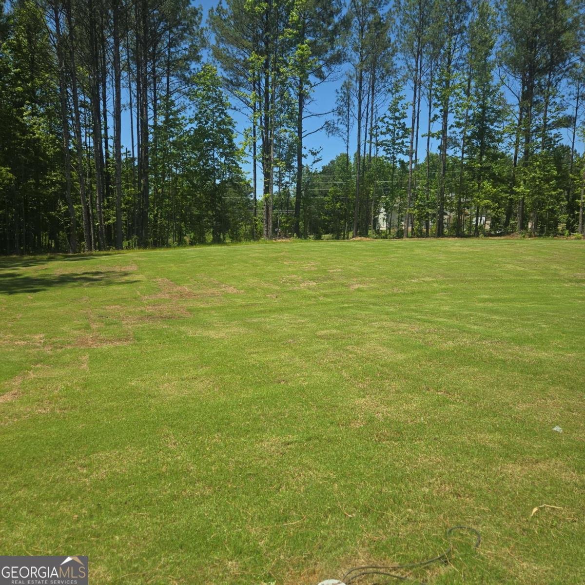 884 Bessie Court Loganville - Photo 11