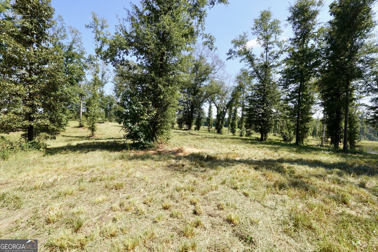 0 Walters Road Barnesville - Photo 20