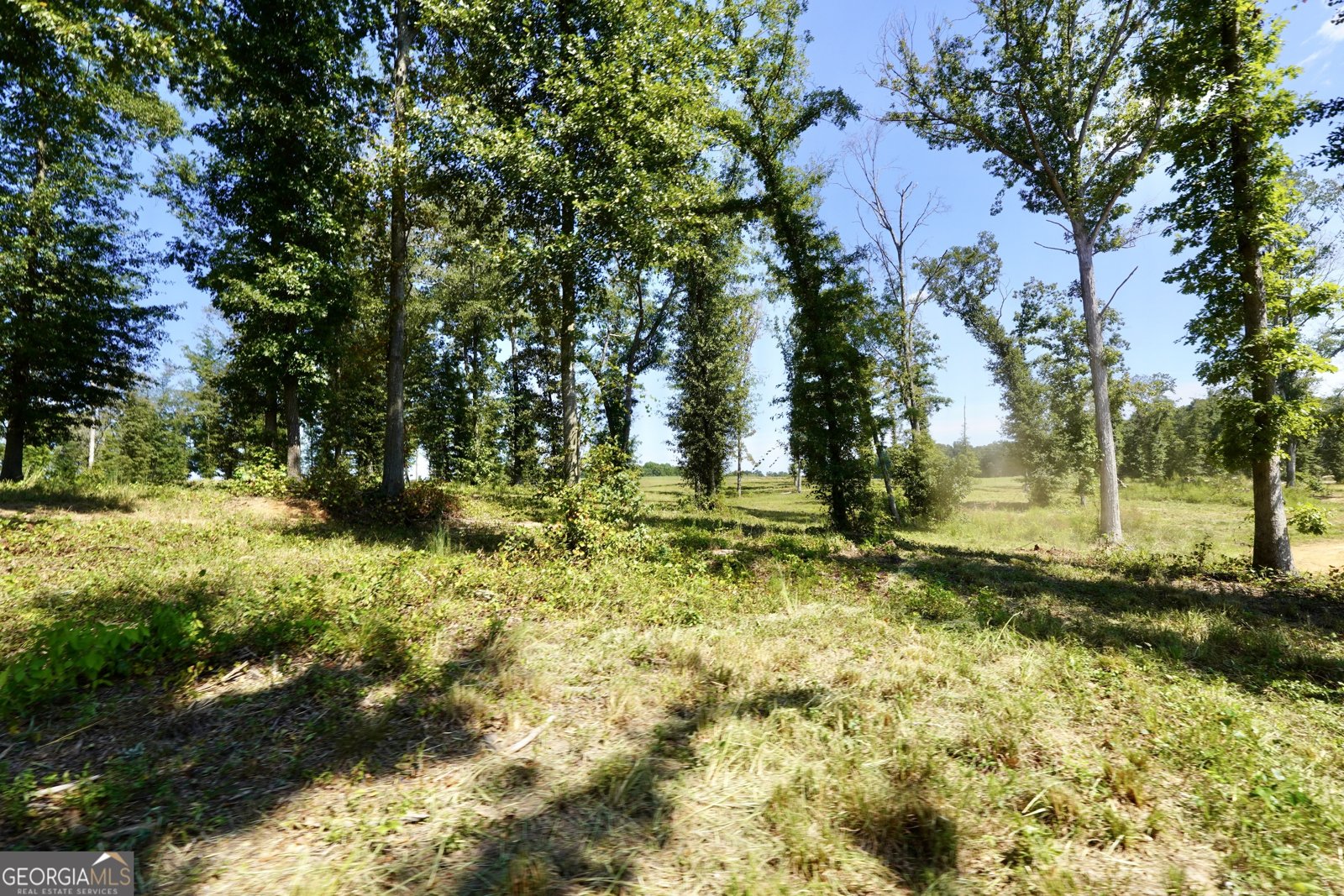 0 Walters Road Barnesville - Photo 21