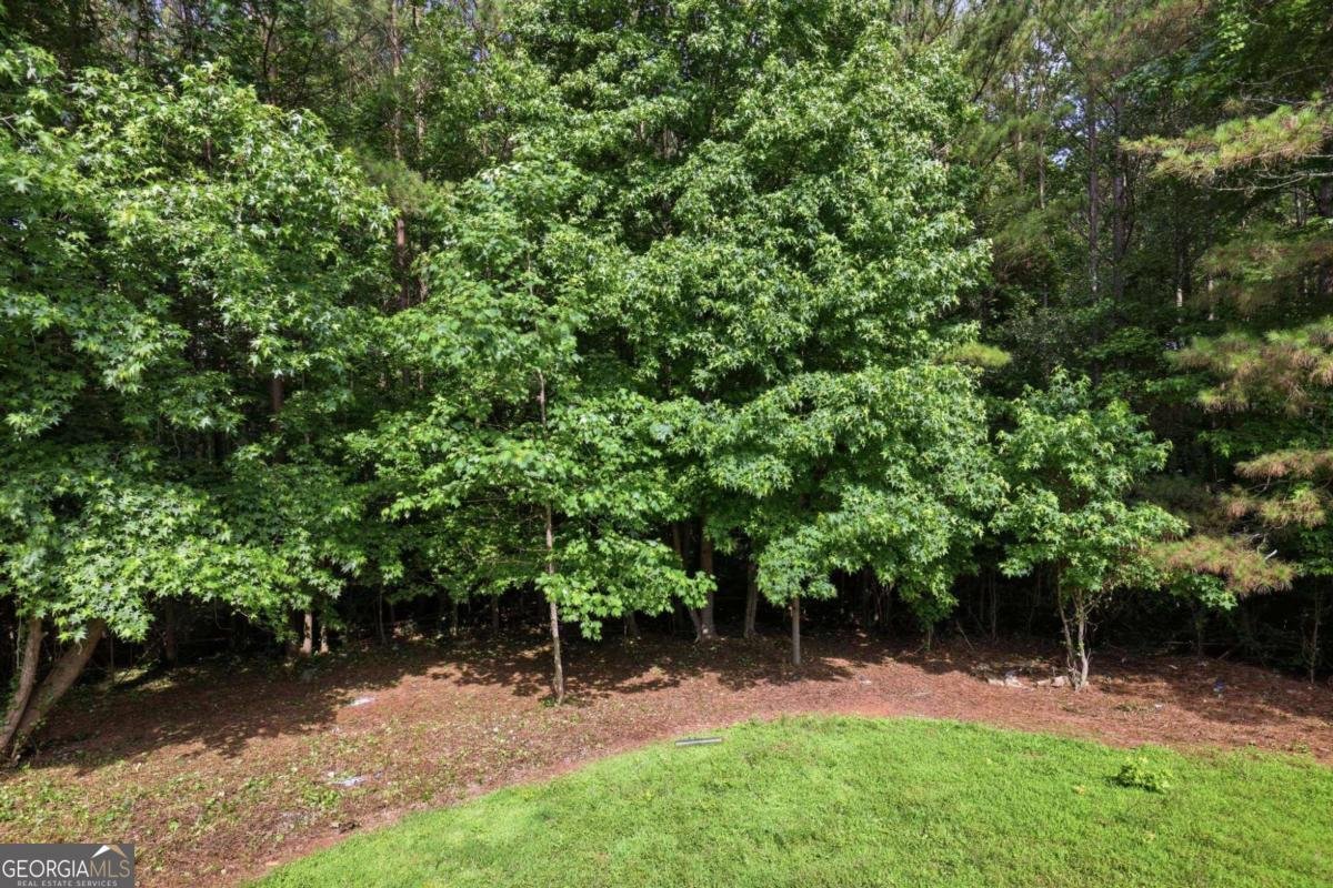 4859 Odessa West Inlet Acworth - Photo 25