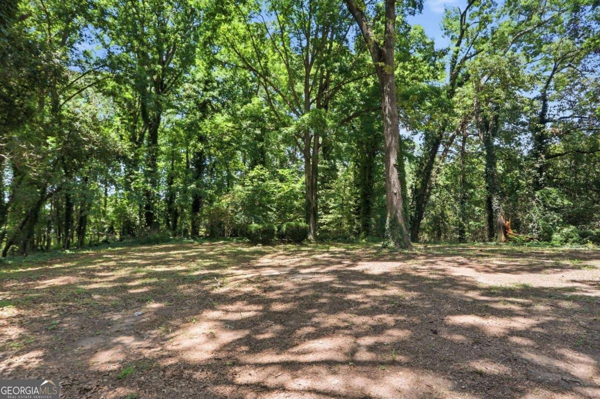 1733 Bethsaida Road Riverdale - Photo 31