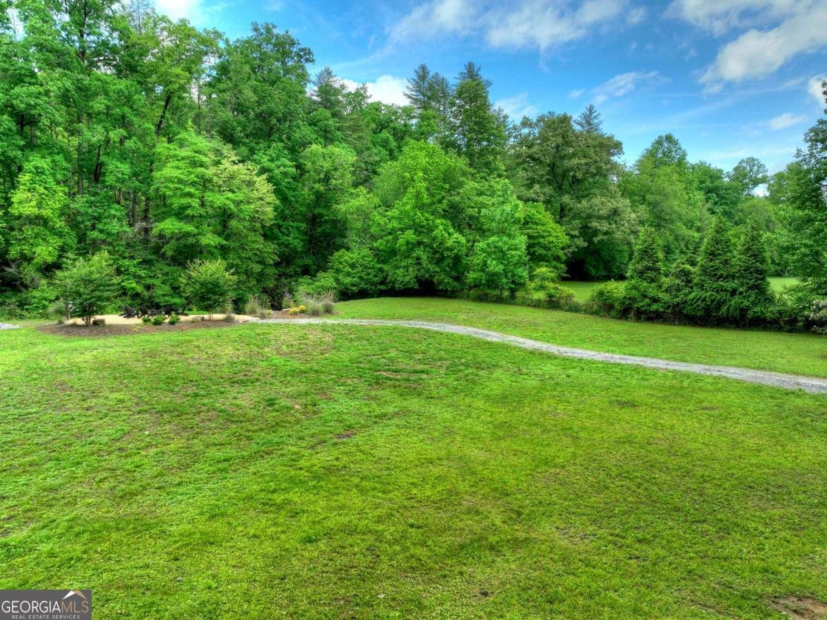 186 Dogwood Drive Epworth - Photo 51