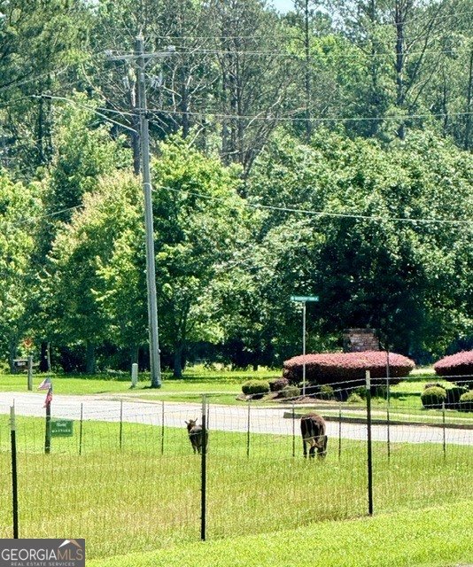 3201 Warren Creek Drive Powder Springs - Photo 53