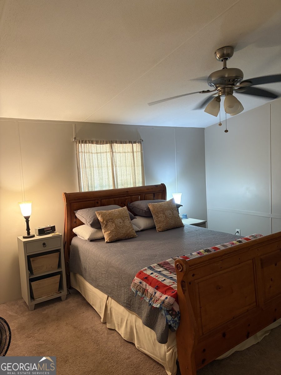 1424 Al Roberts Road Senoia - Photo 11