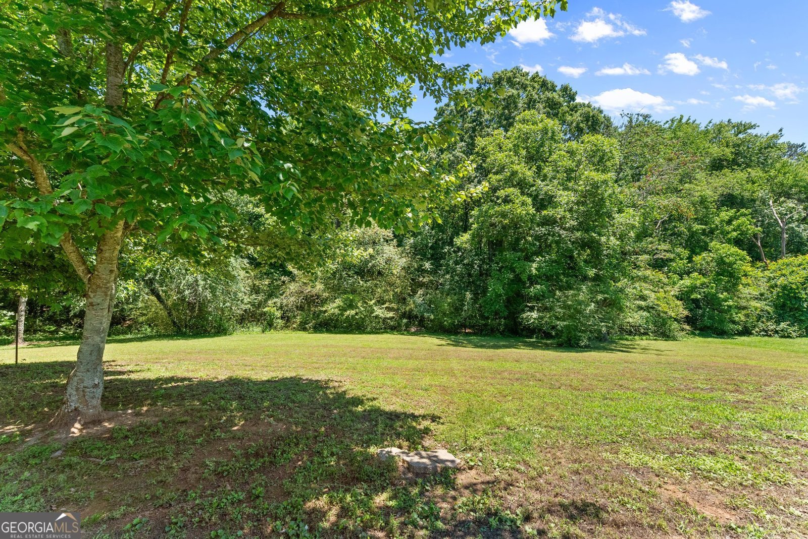 3883 Sloan Mill Road Gainesville - Photo 68
