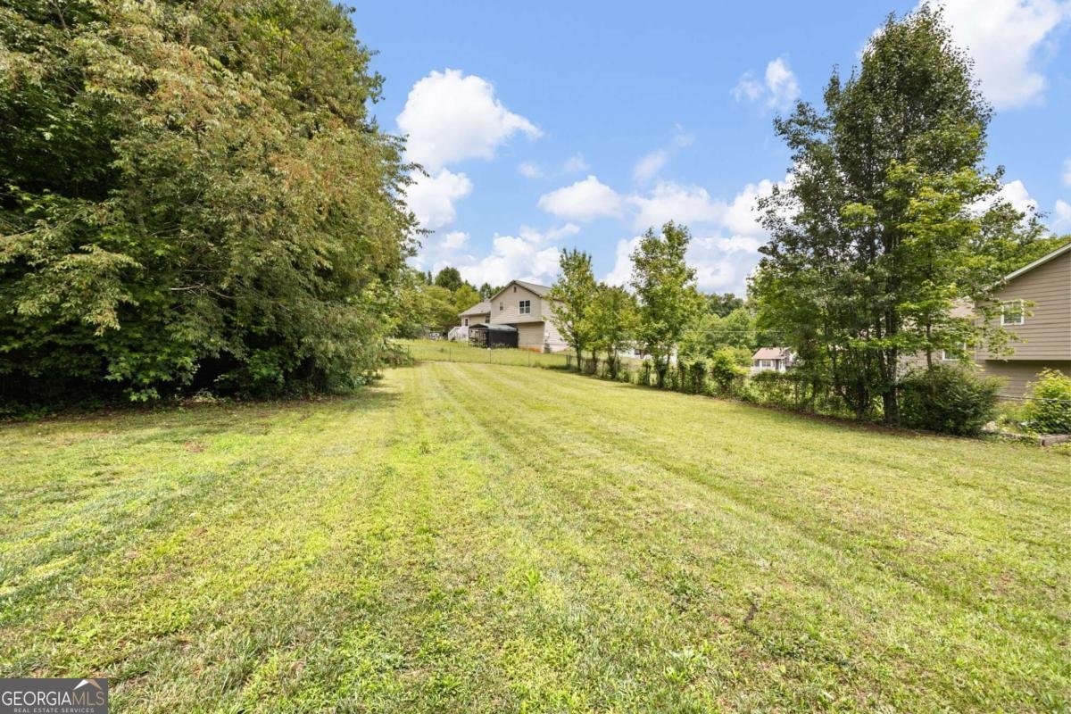 34 Canter Lane Dallas - Photo 19
