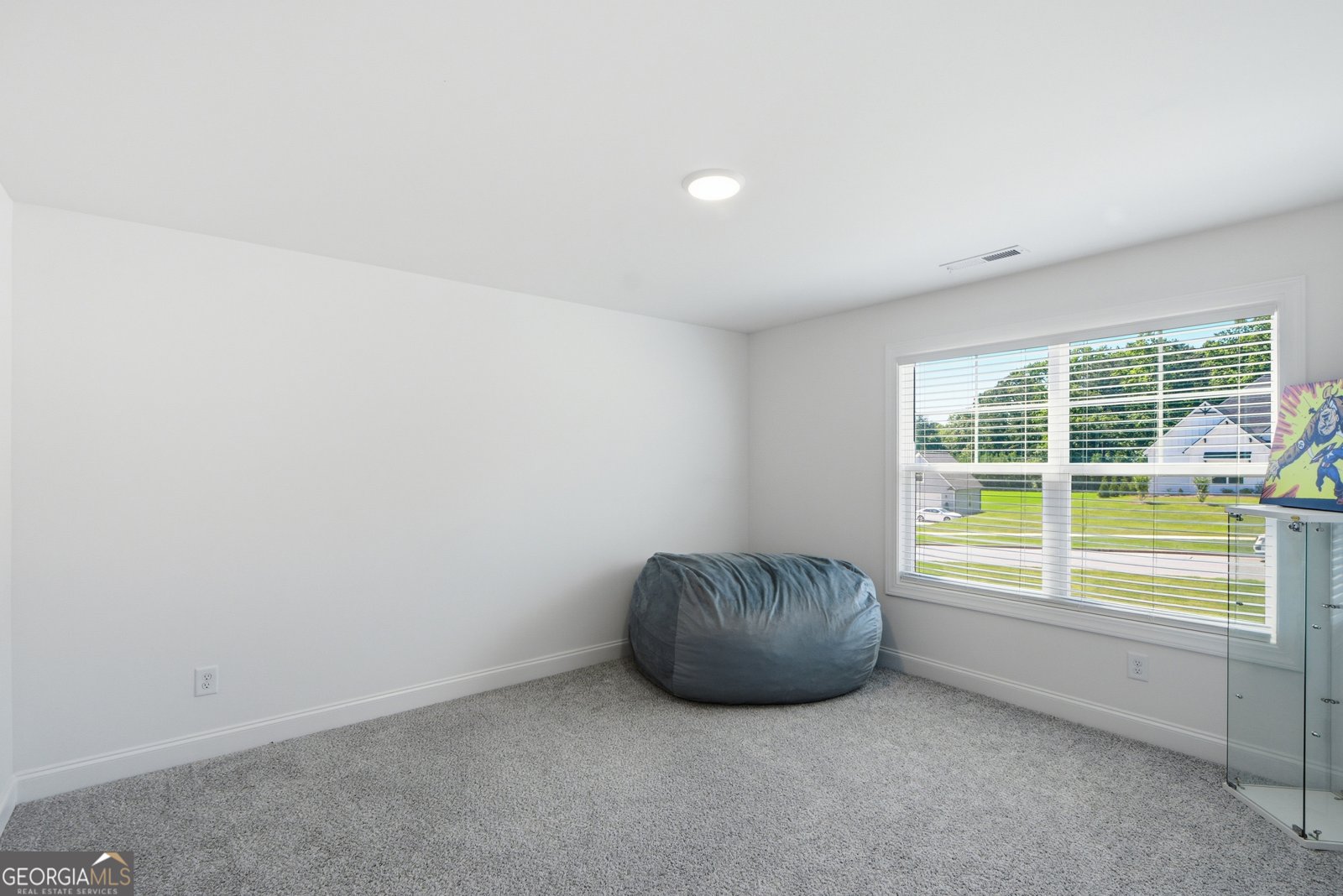 65 Starr Place Newnan - Photo 45