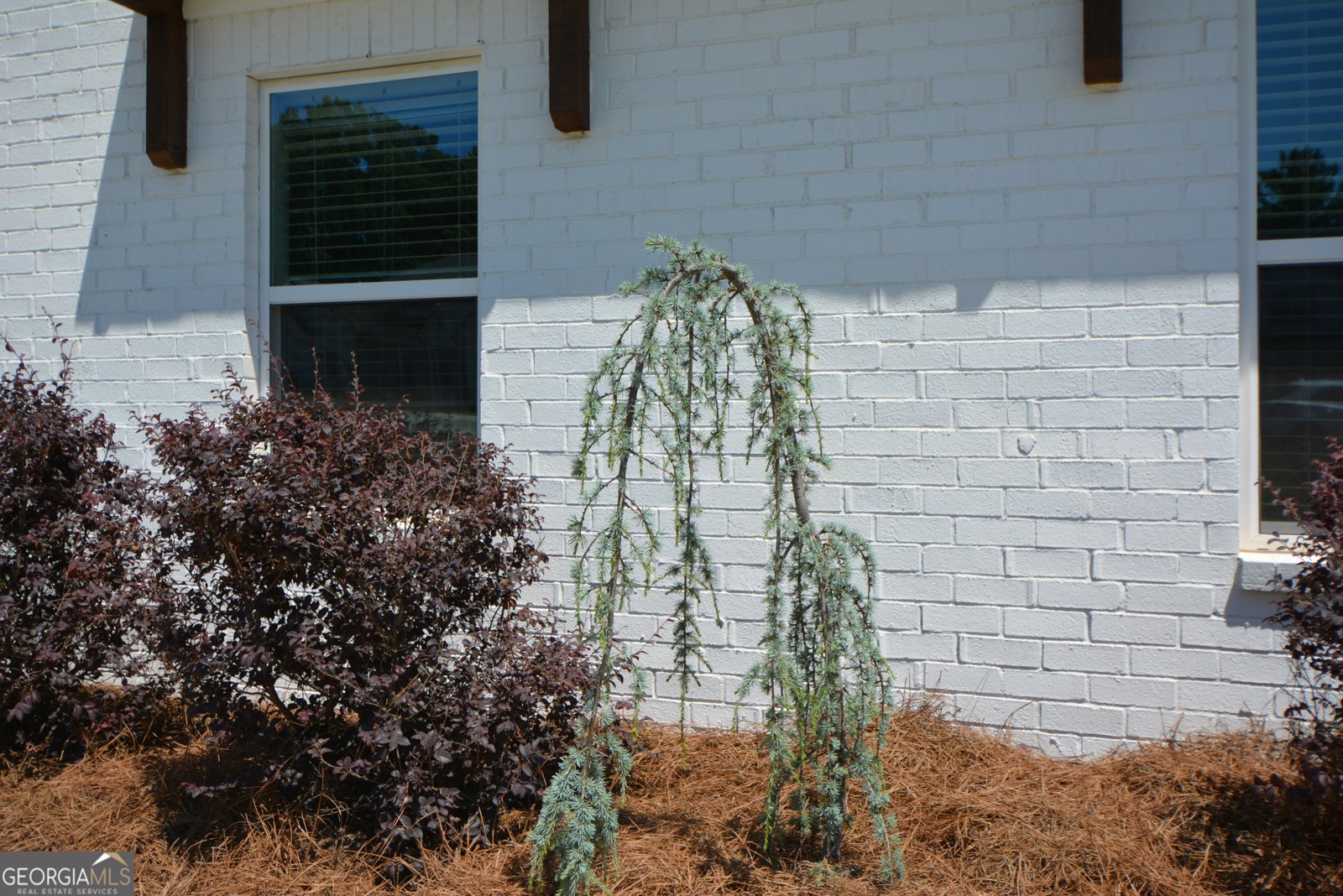 65 Starr Place Newnan - Photo 84
