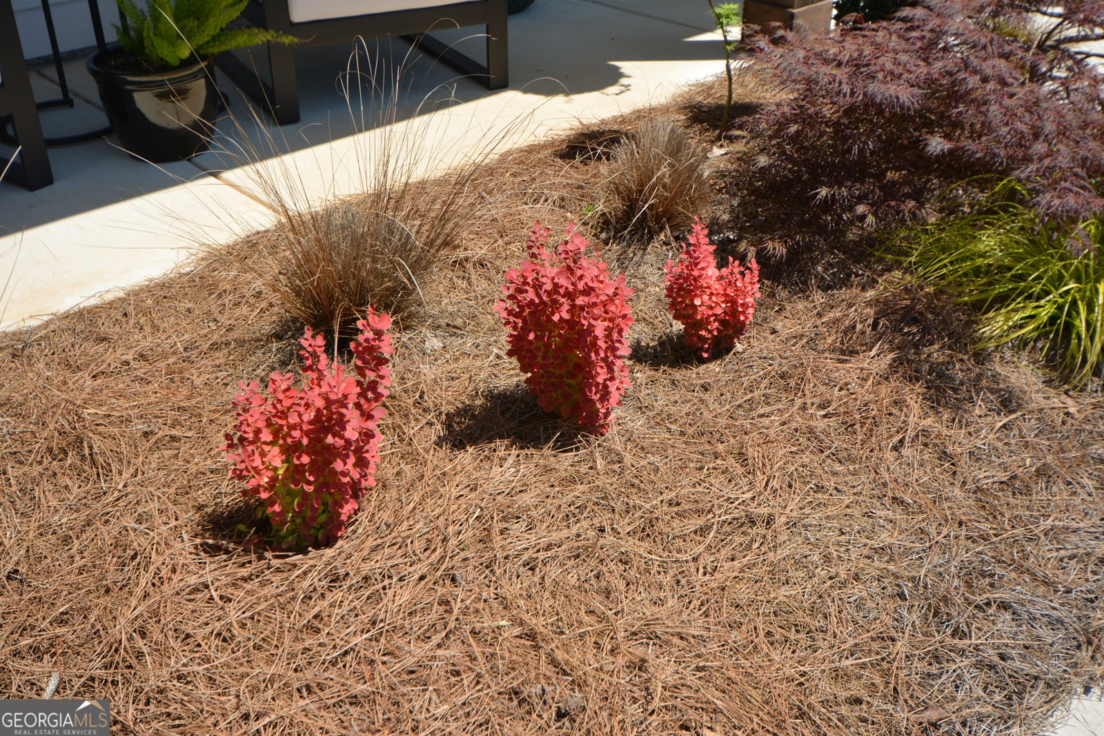 65 Starr Place Newnan - Photo 85