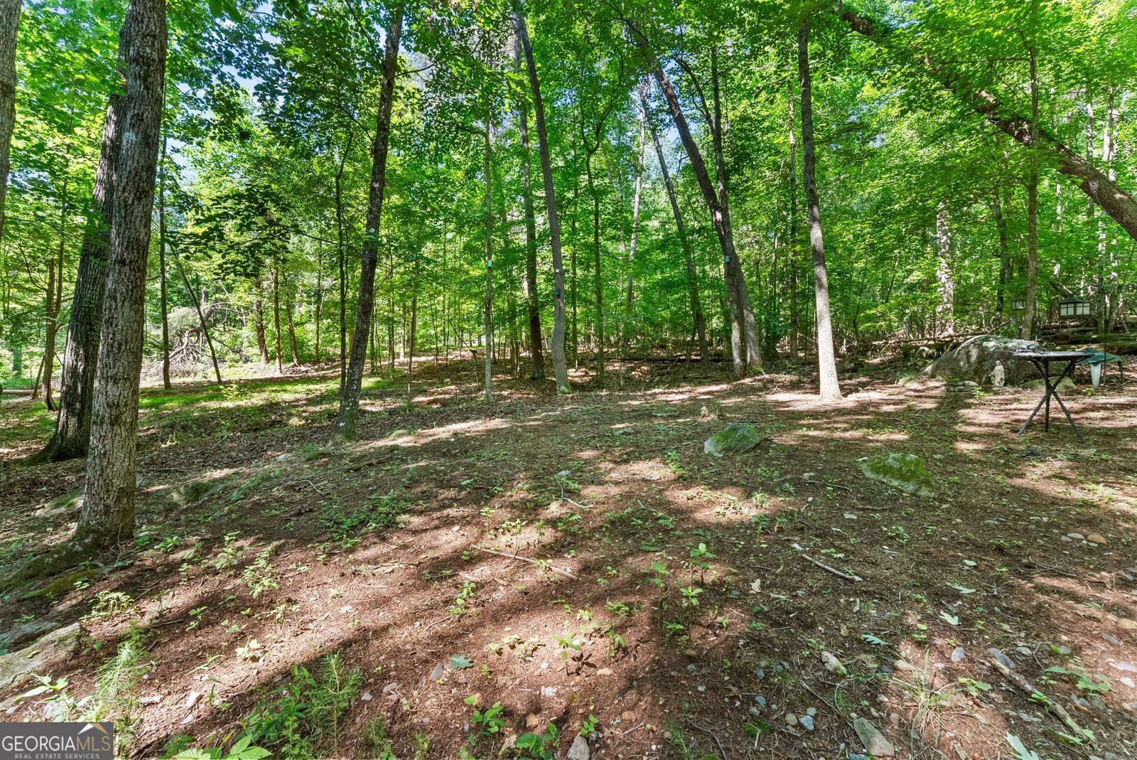 294 Cedar Hollow Road Cleveland - Photo 59