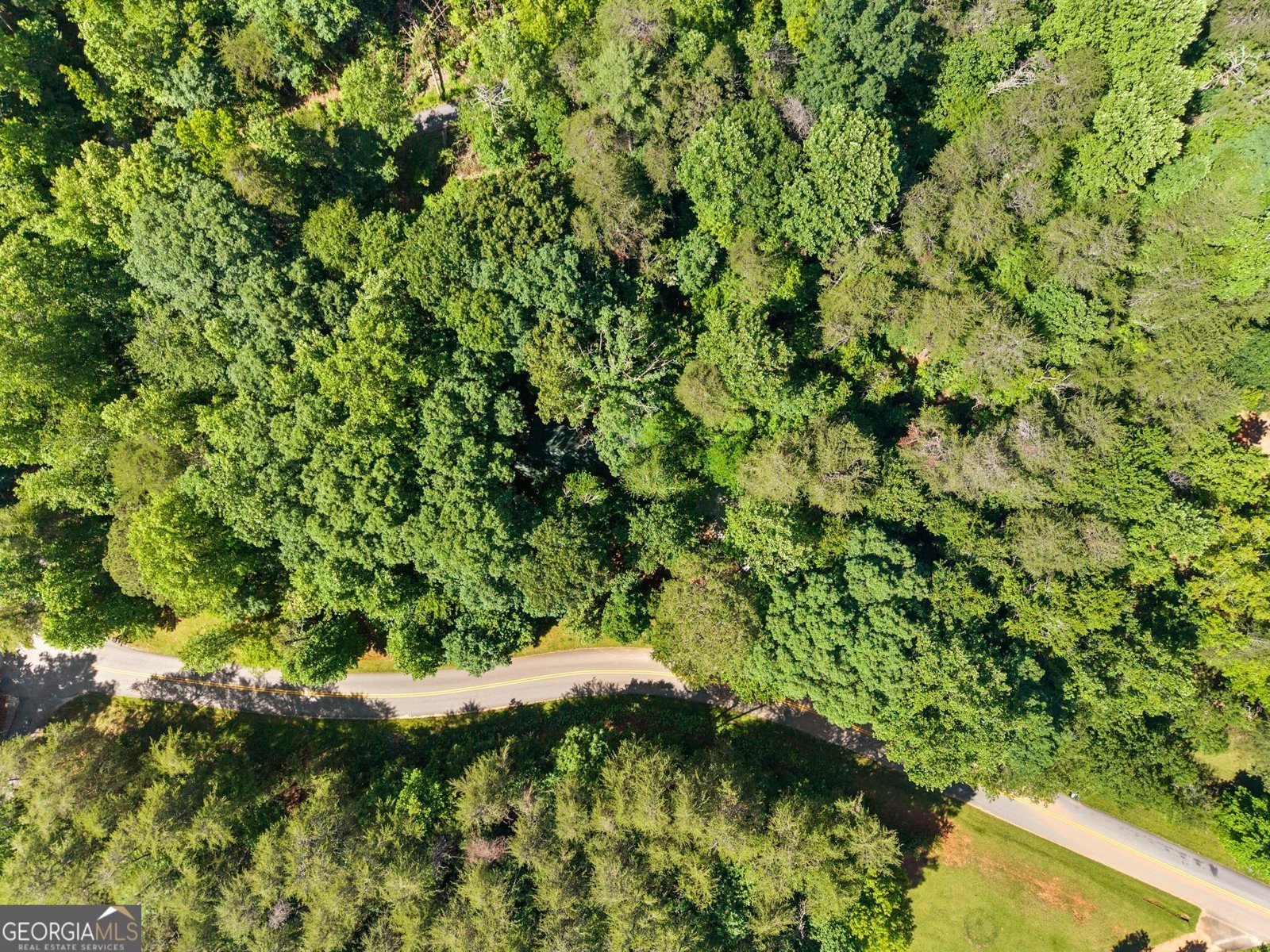 294 Cedar Hollow Road Cleveland - Photo 60