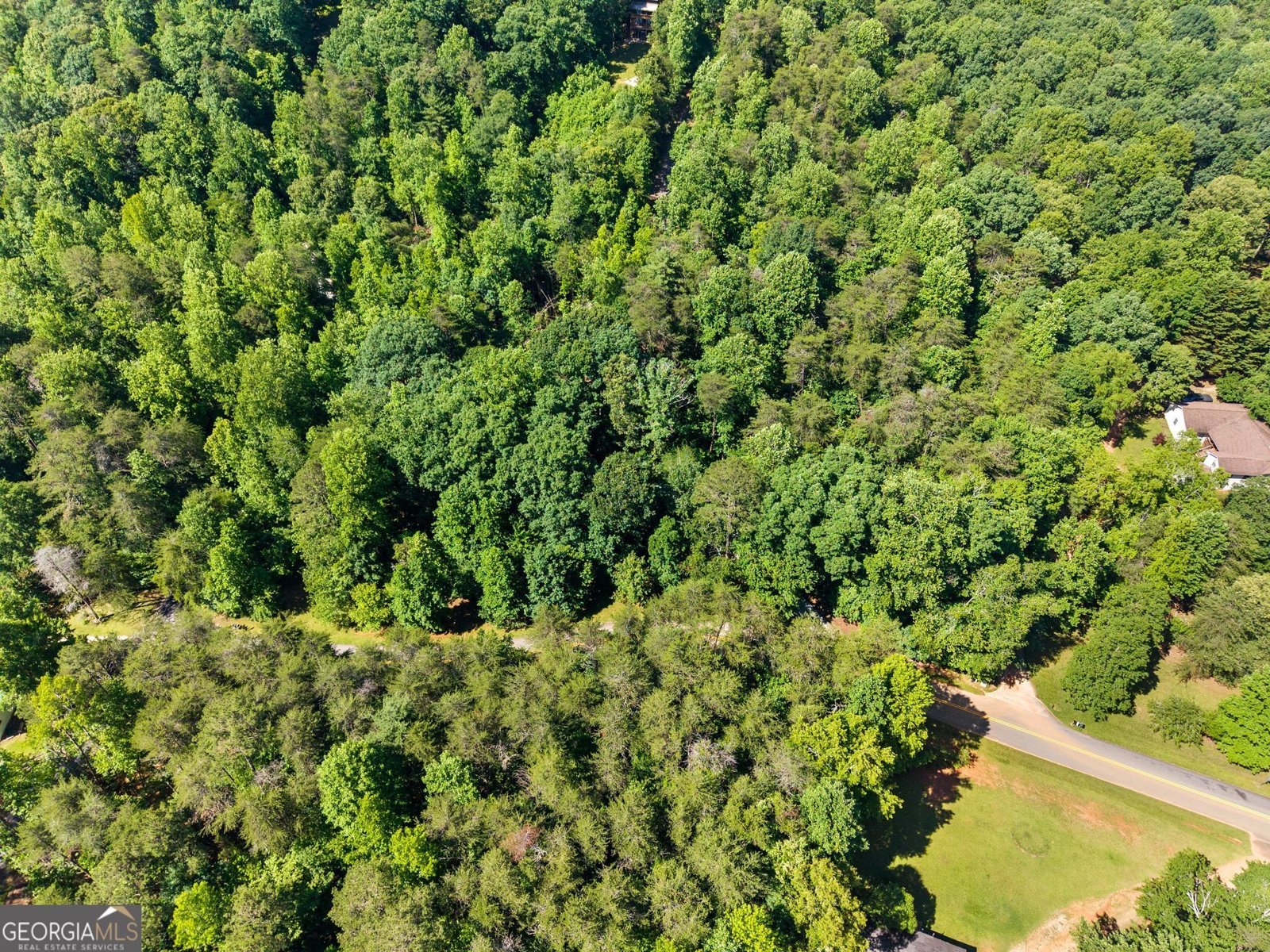294 Cedar Hollow Road Cleveland - Photo 63