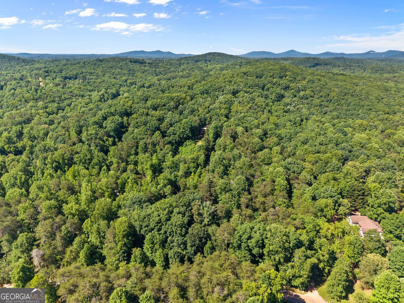 294 Cedar Hollow Road Cleveland - Photo 64