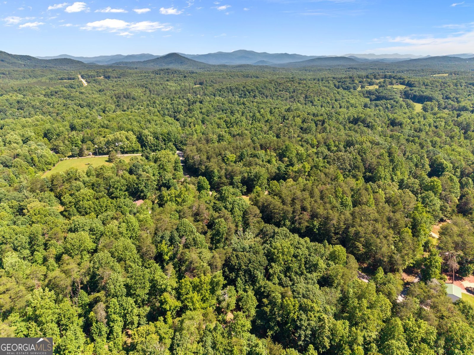 294 Cedar Hollow Road Cleveland - Photo 67