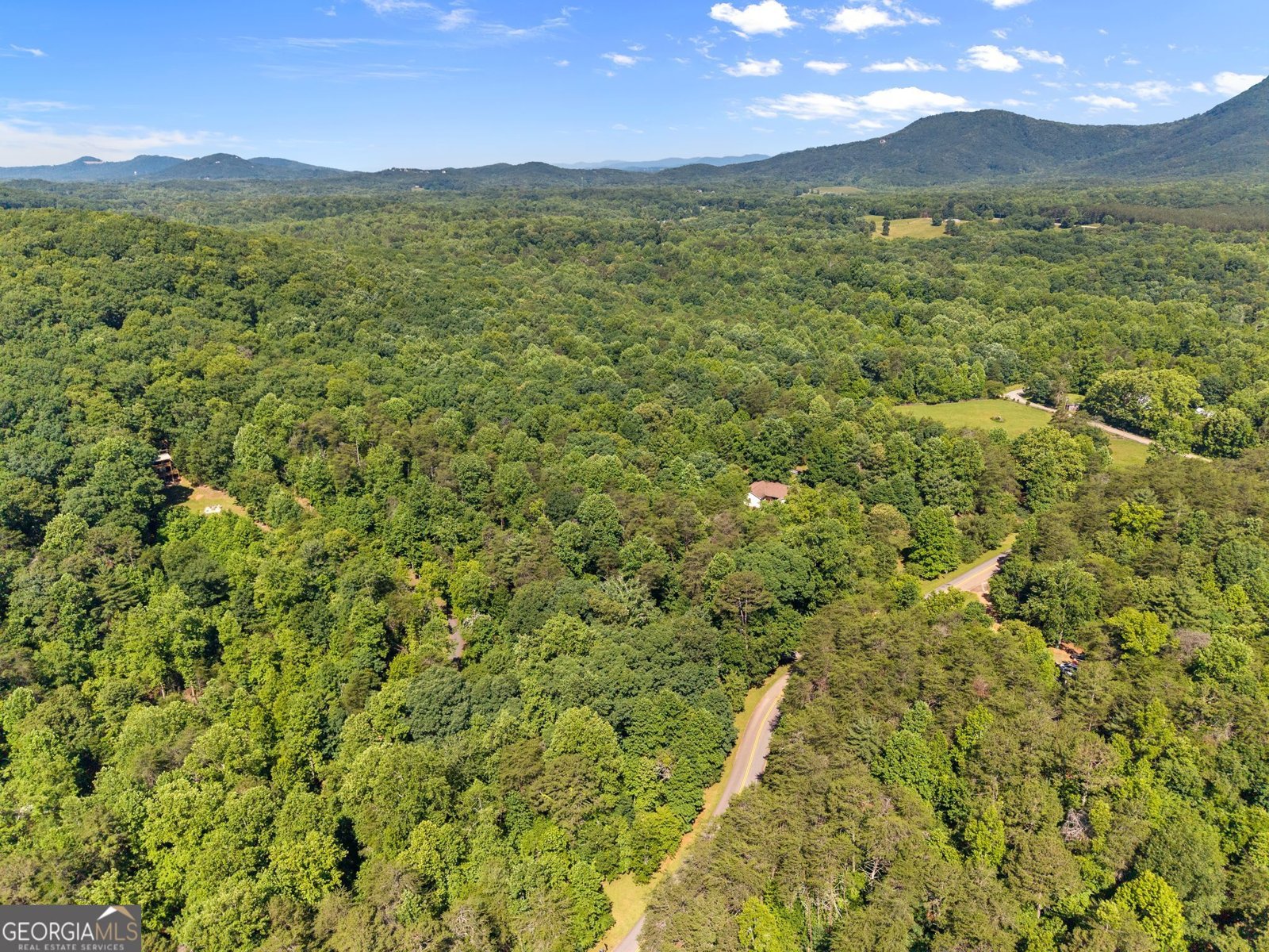 294 Cedar Hollow Road Cleveland - Photo 68