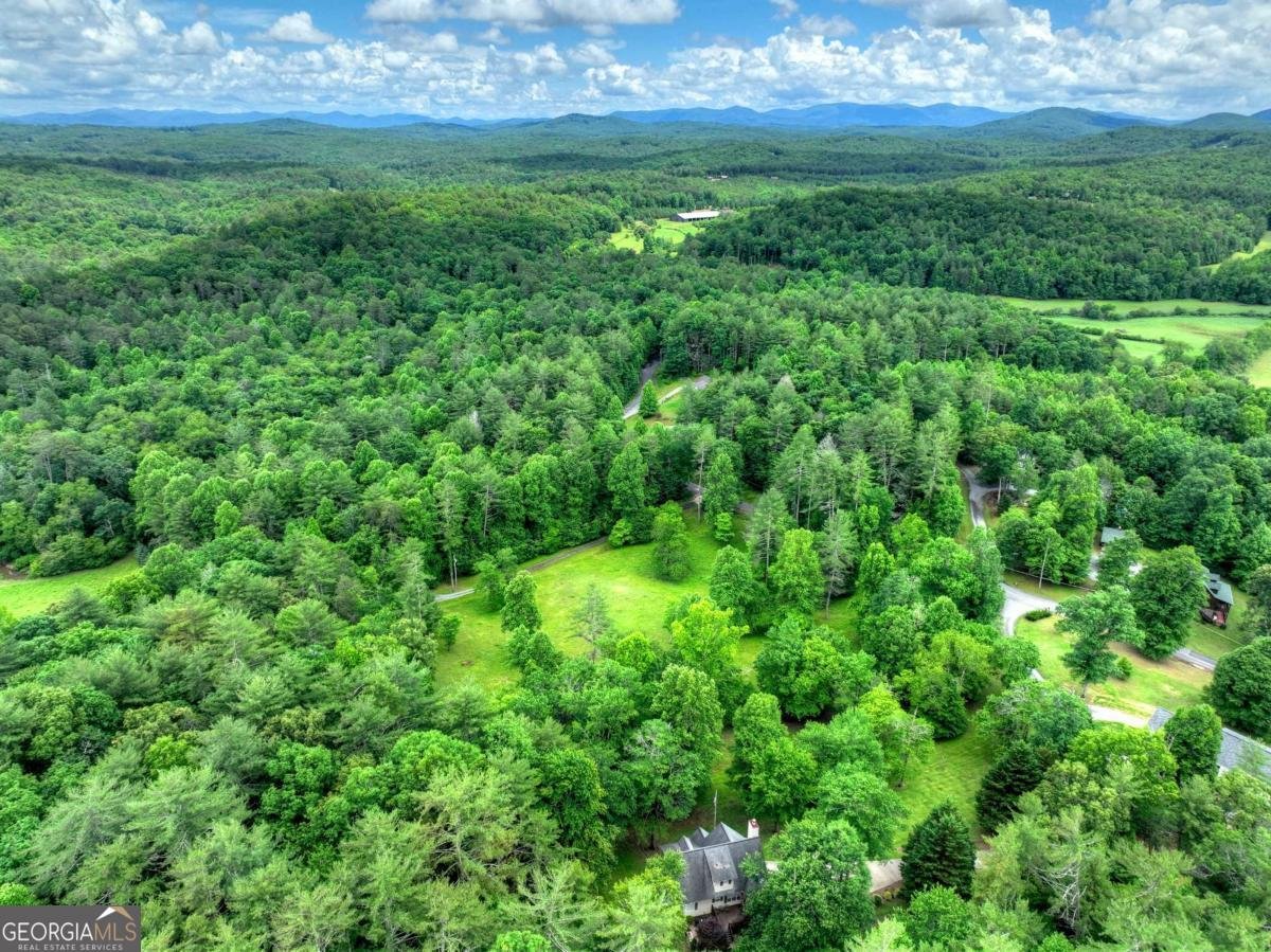 94 Old Place Drive Blue Ridge - Photo 46