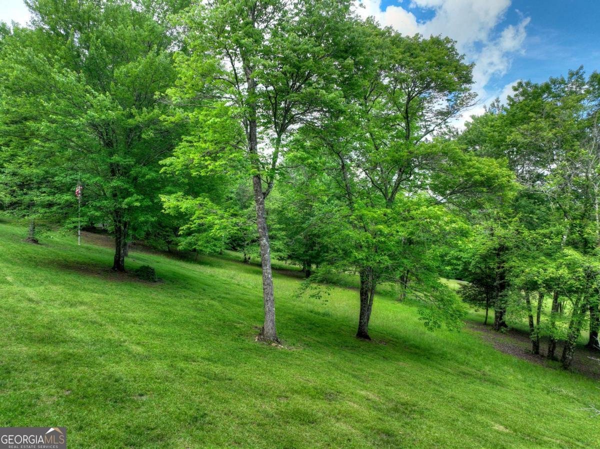 94 Old Place Drive Blue Ridge - Photo 47