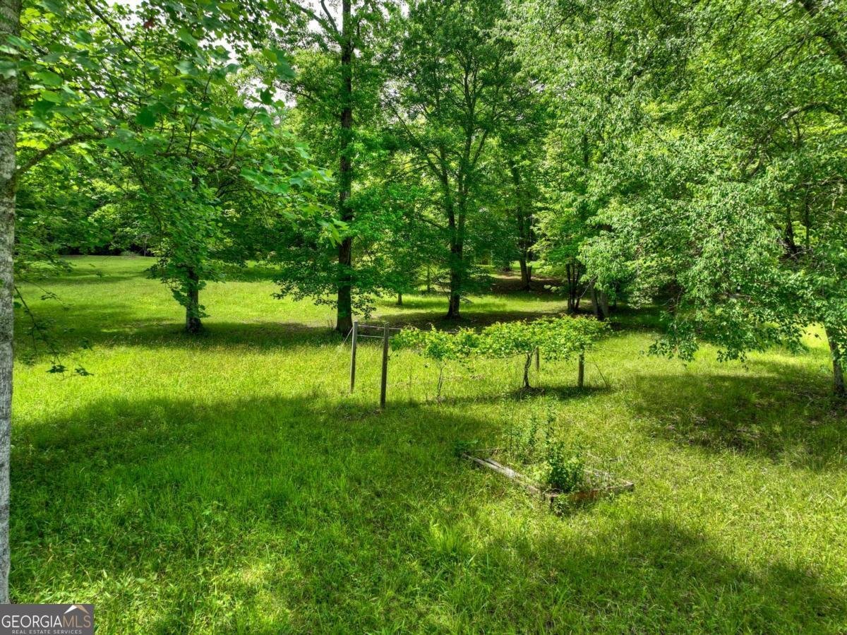94 Old Place Drive Blue Ridge - Photo 48