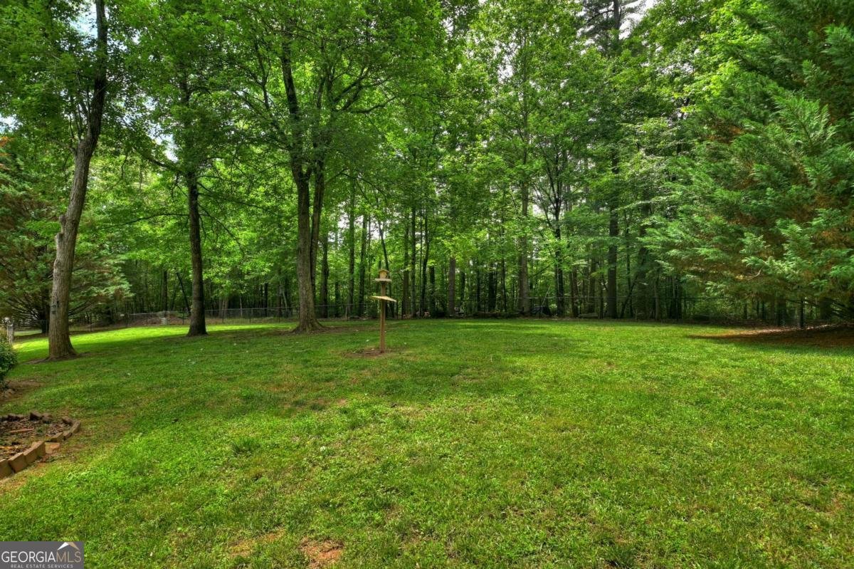 94 Old Place Drive Blue Ridge - Photo 49