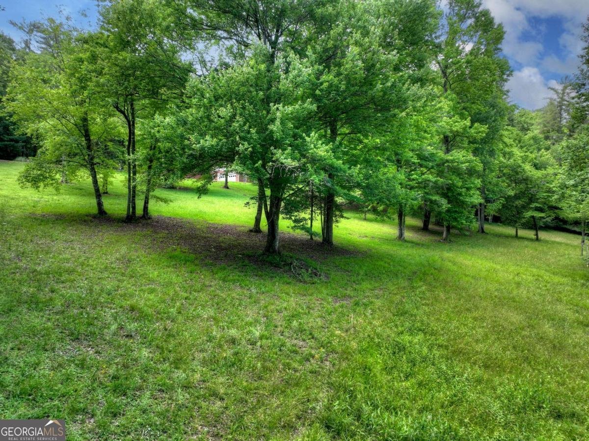94 Old Place Drive Blue Ridge - Photo 57