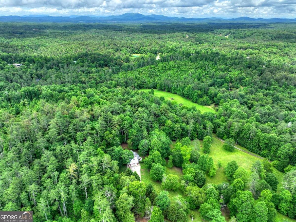 94 Old Place Drive Blue Ridge - Photo 59