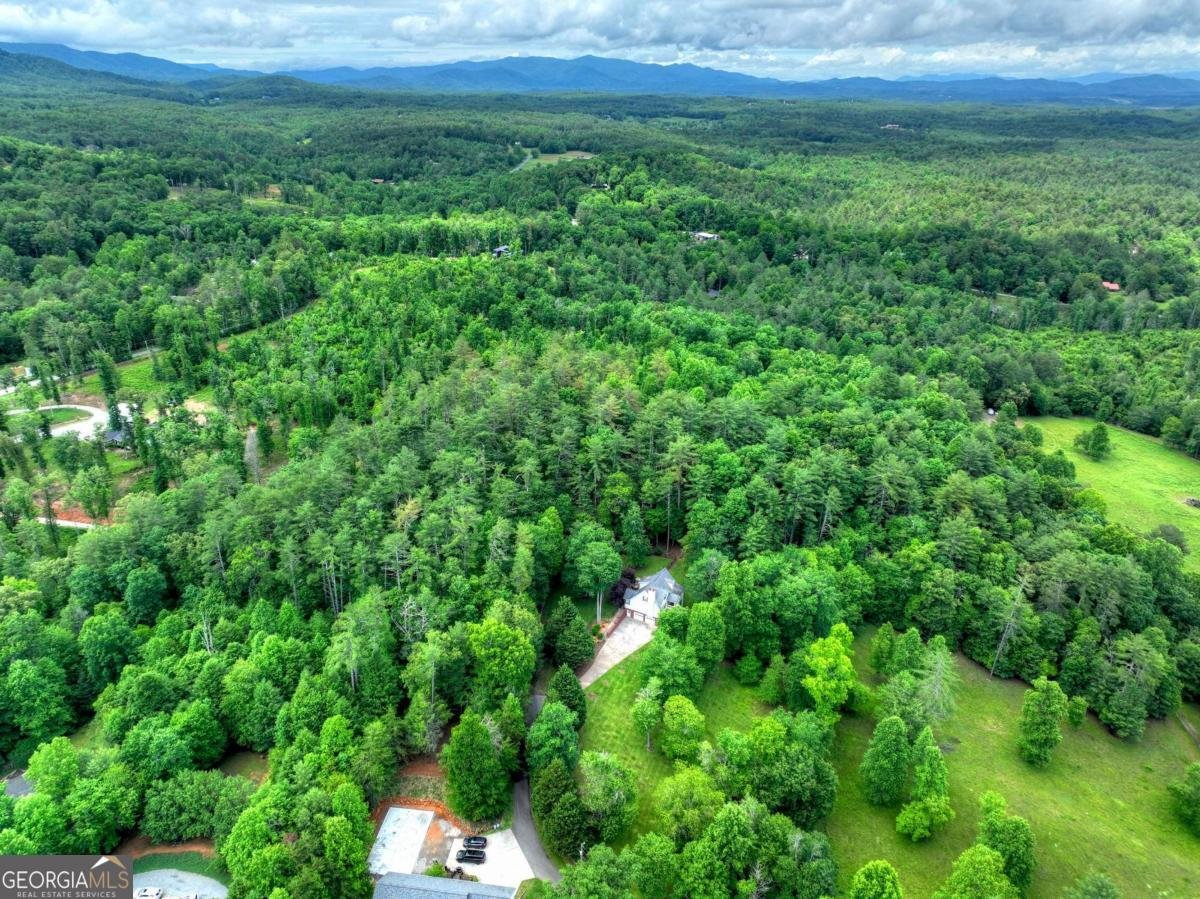 94 Old Place Drive Blue Ridge - Photo 60