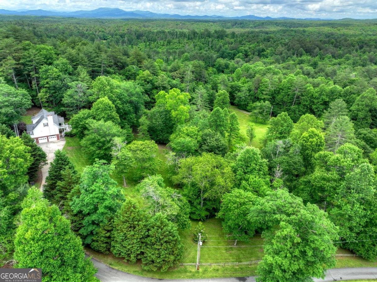 94 Old Place Drive Blue Ridge - Photo 61