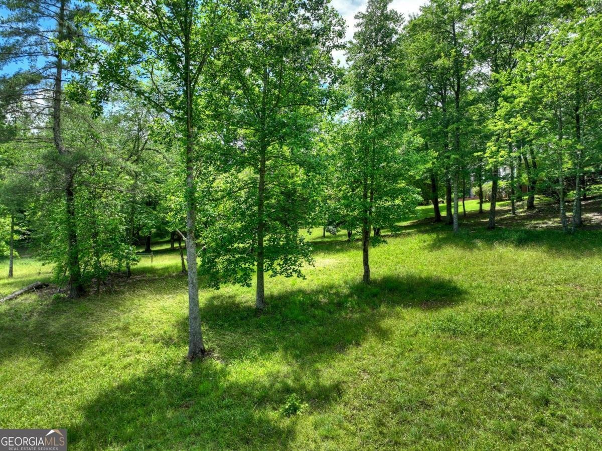 94 Old Place Drive Blue Ridge - Photo 62